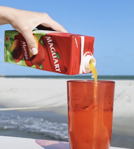 Britvic PLC (LSE: BVIC) - Our Brands
