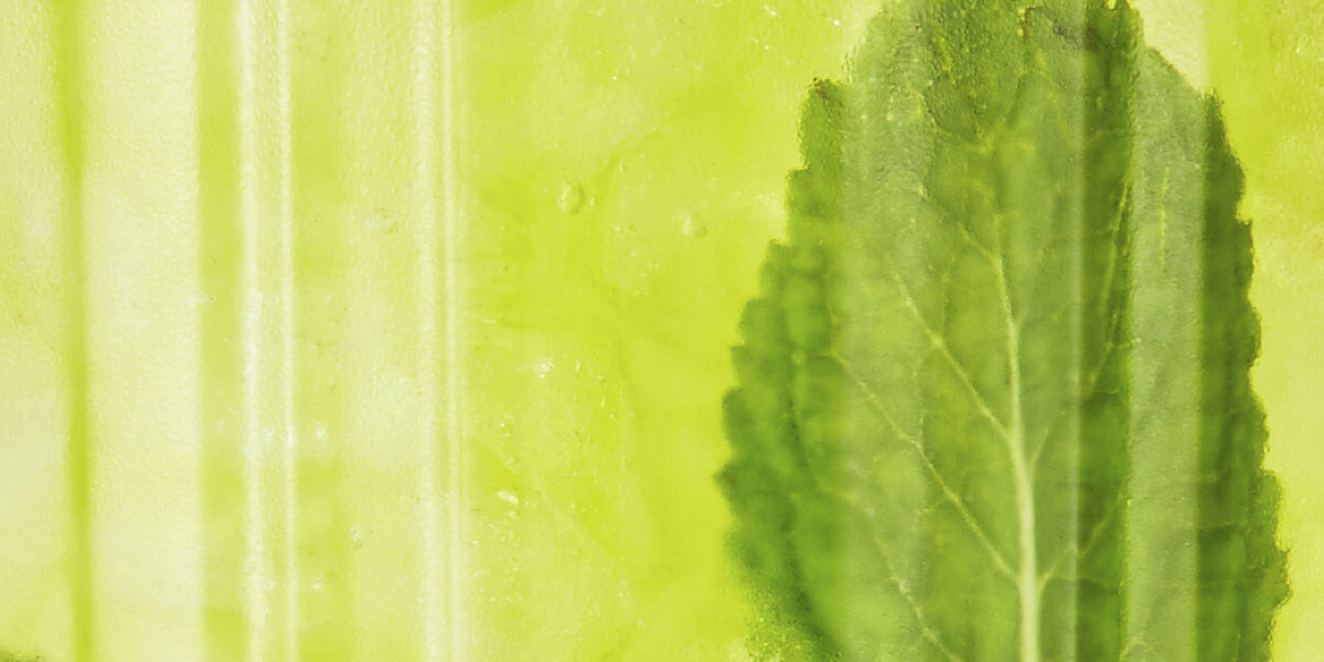 Britvic celebrates innovation and growth on 80th birthday