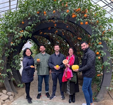 Britvic sensory team holding sliced citrus fruit