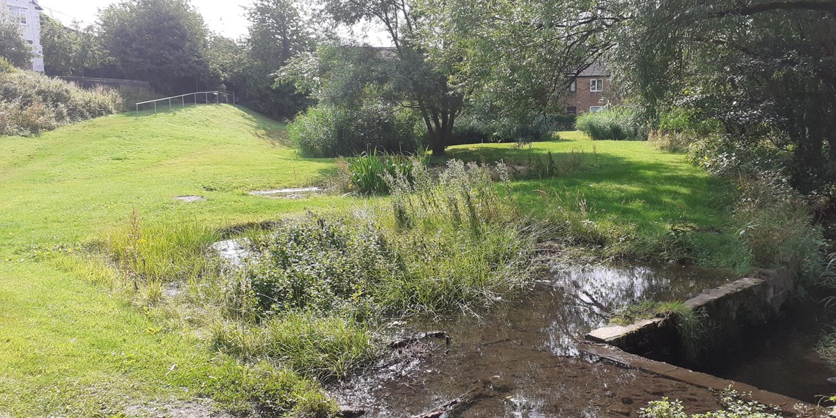 Britvic and The Rivers Trust strengthen water stewardship partnership with two wetland restoration projects in Great Britain