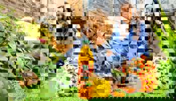 Sustainability reports