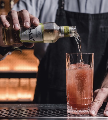 Britvic plc (LSE: BVIC) - Our Brands