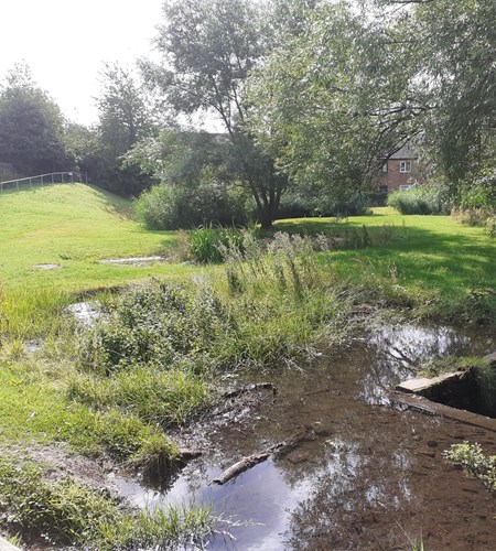 Britvic and The Rivers Trust strengthen water stewardship partnership with two wetland restoration projects in Great Britain