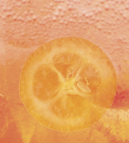 Carlsberg Britvic supports appointment of management organisation for deposit return scheme